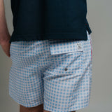 Board Shorts - Blue Check
