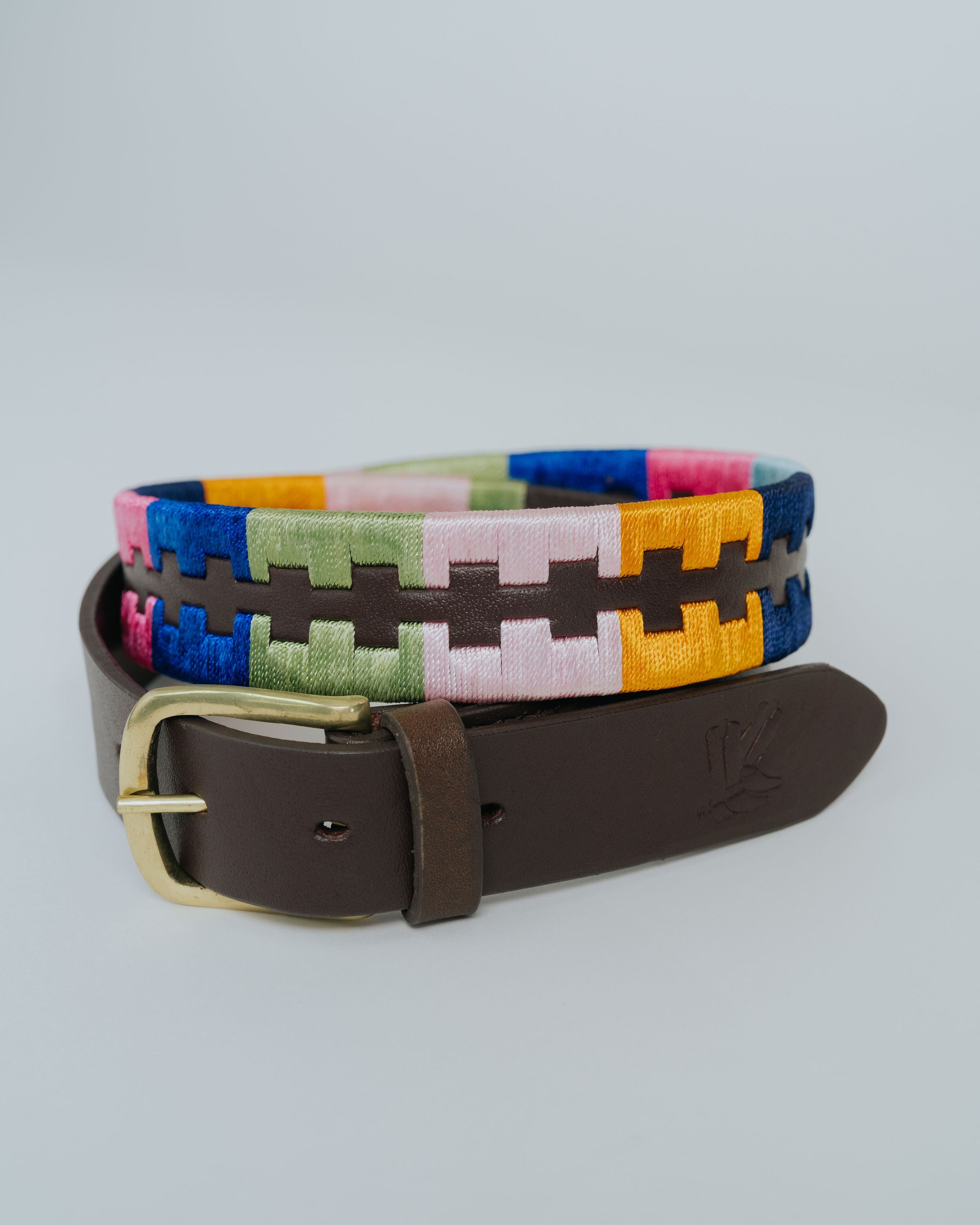 Designer Belt - Multi Colour Leather