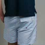 Board Shorts - Blue Check