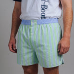 Boxer Shorts - Green / Blue Stripe