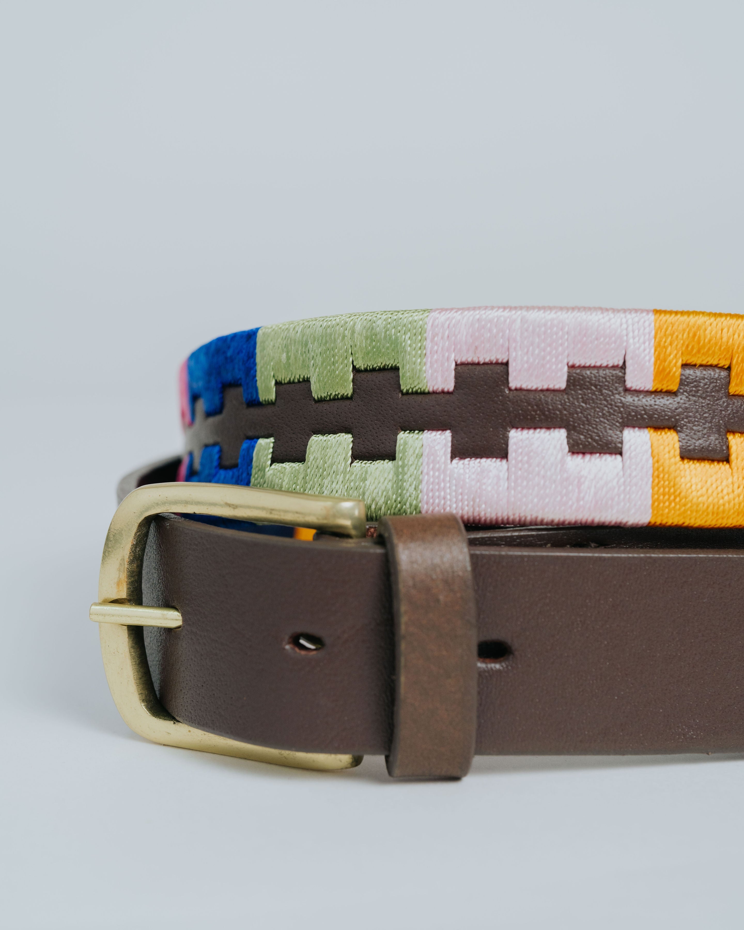 Designer Belt - Multi Colour Leather