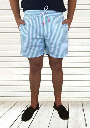 Aqua Stripe Board Shorts
