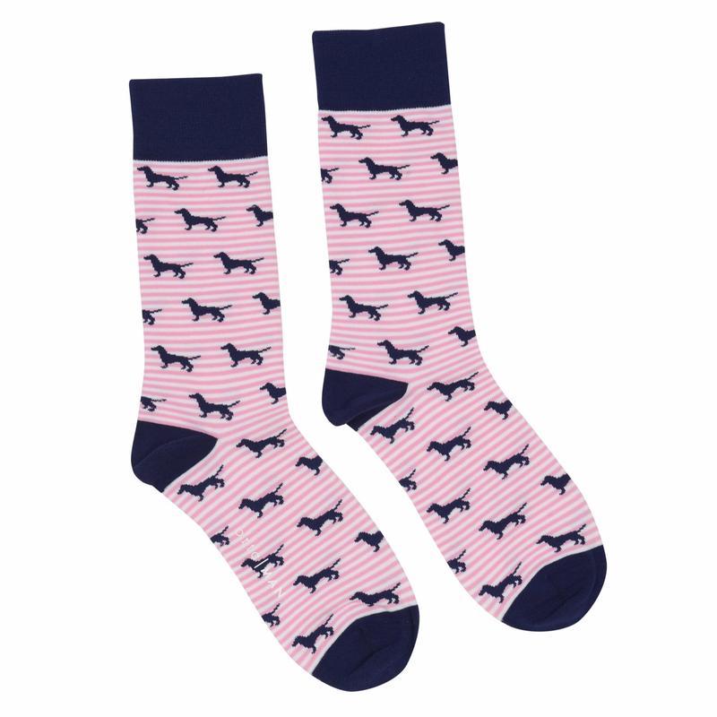 Pink Stripe Dachies - Socks